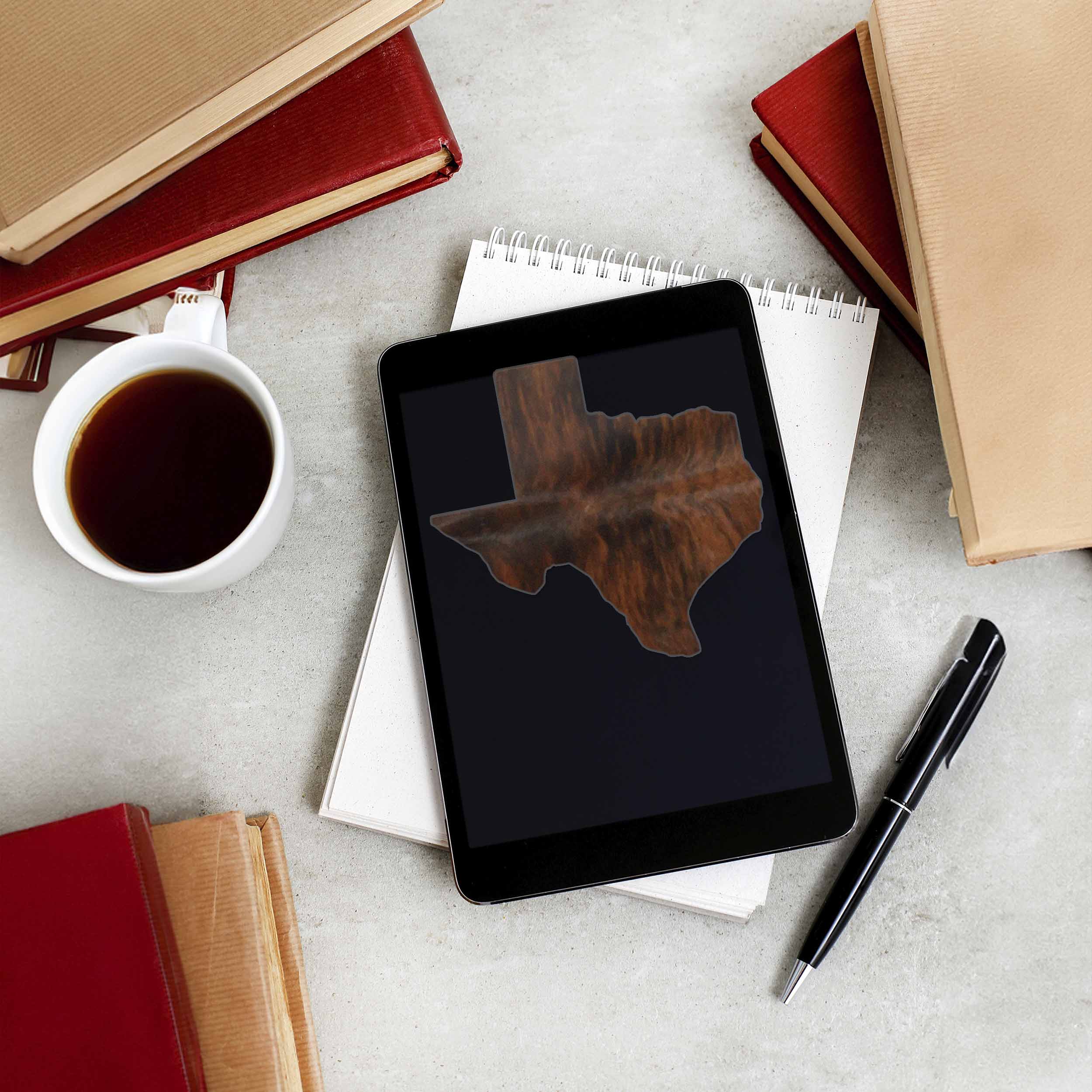 Texas Brindle Sticker - Cute TX Cowhide Decal