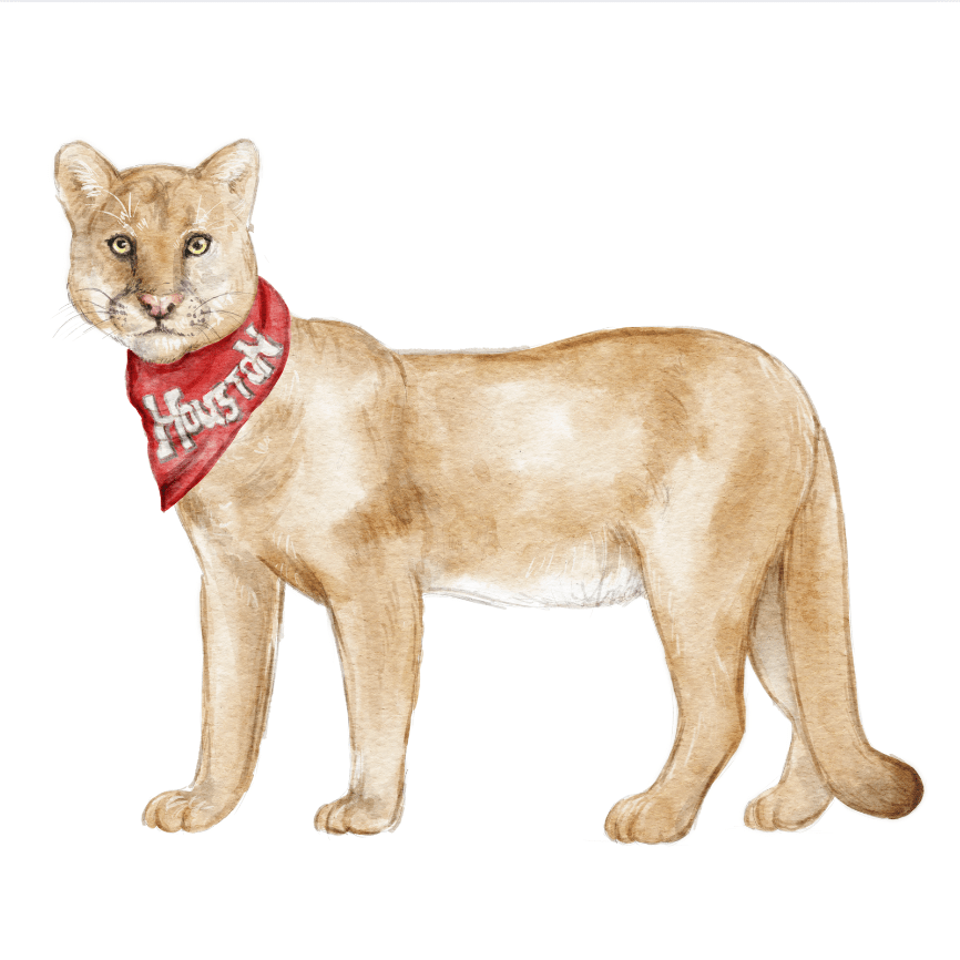 Red & White Cougar Acrylic